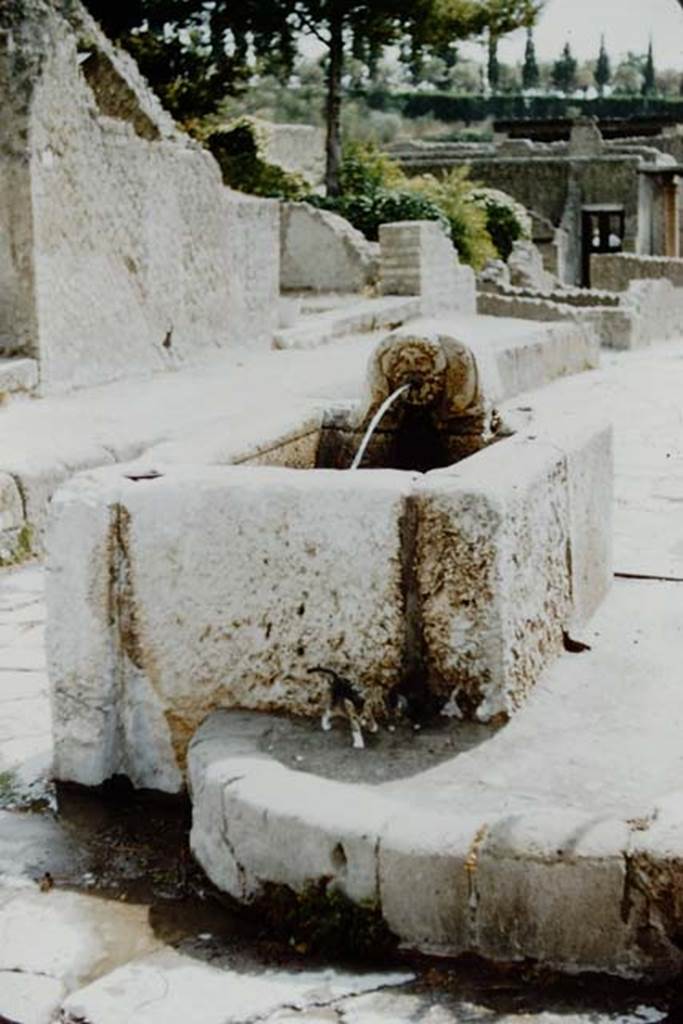 Fountain on corner of Ins. IV, at junction of Decumanus Inferior and Cardo V Inferiore, Herculaneum. 1957. Photo by Stanley A. Jashemski.
Source: The Wilhelmina and Stanley A. Jashemski archive in the University of Maryland Library, Special Collections (See collection page) and made available under the Creative Commons Attribution-Non Commercial License v.4. See Licence and use details. J57f0451